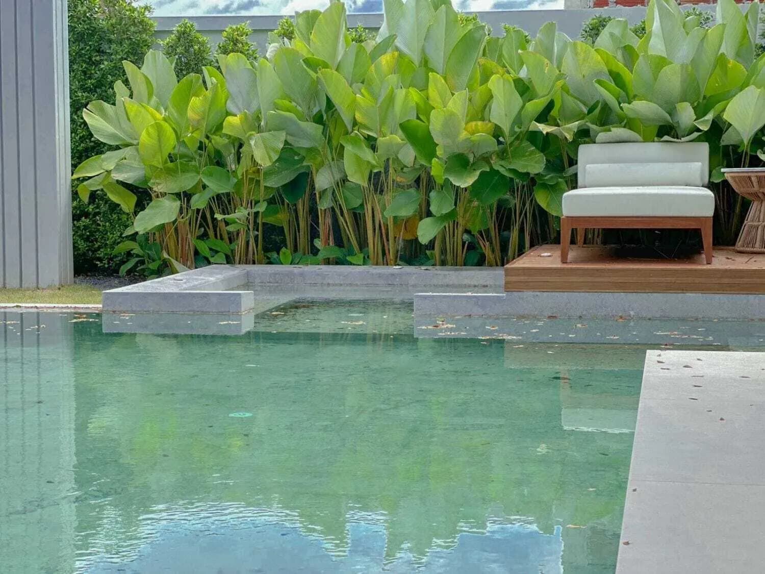 Modern Luxury Botanica 4 bedrooms with private pool in Layan — Thumbnail 24