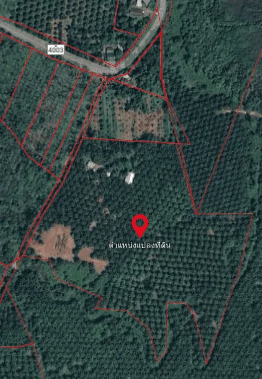 Land for Sale 44 rai in Tai Muang, Phang Nga — Thumbnail 2
