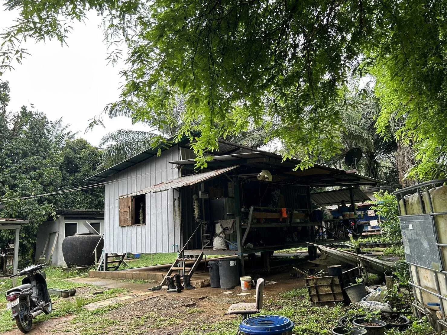 Land for Sale 44 rai in Tai Muang, Phang Nga — Thumbnail 8