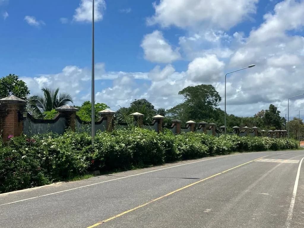 Land For Sale near Robinson Shopping Mall Thalang
