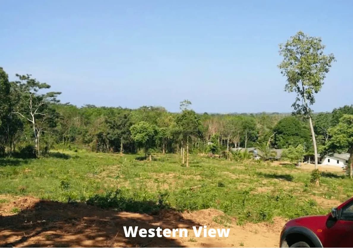 Land 7 Rai For Sale, Mai Khao, Phuket — Thumbnail 3
