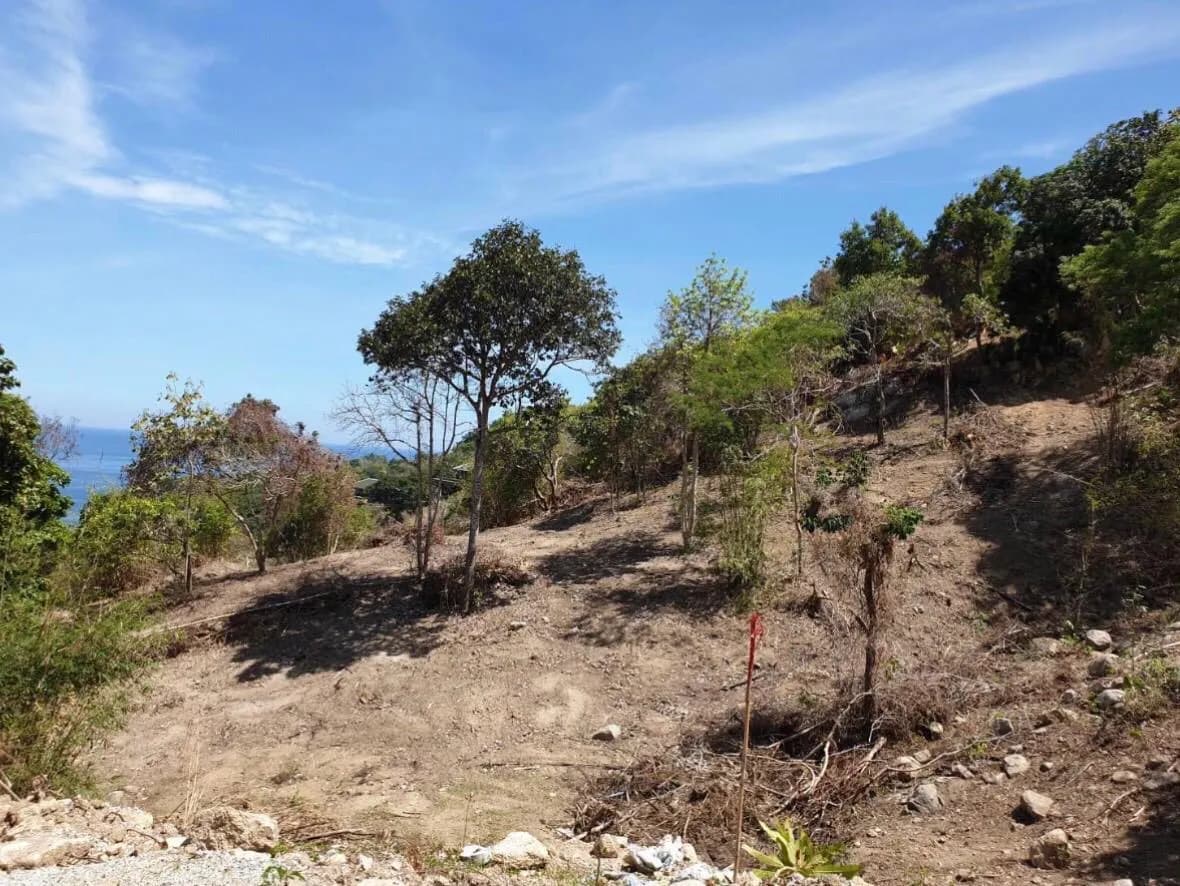 Beach Front Land 20 Rai for sale in Kamala — Thumbnail 6