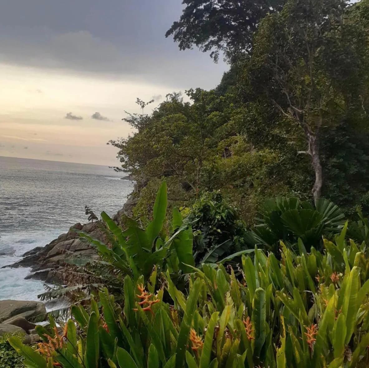 Beach Front Land 20 Rai for sale in Kamala — Thumbnail 7
