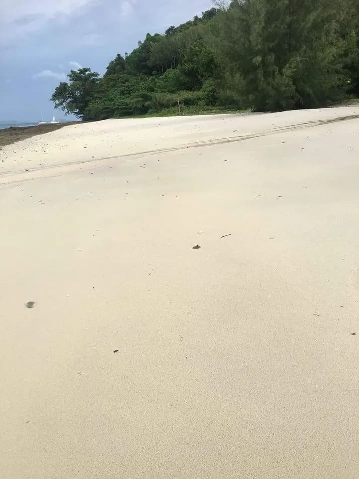 Land 84 Rai Next To Sandy Beach For Sale At Naka Yai Island Phuket — Thumbnail 4