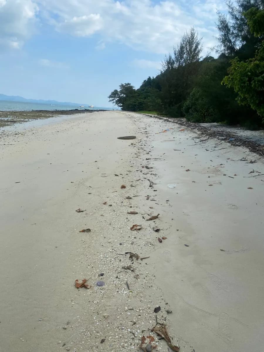 Land 84 Rai Next To Sandy Beach For Sale At Naka Yai Island Phuket — Thumbnail 7