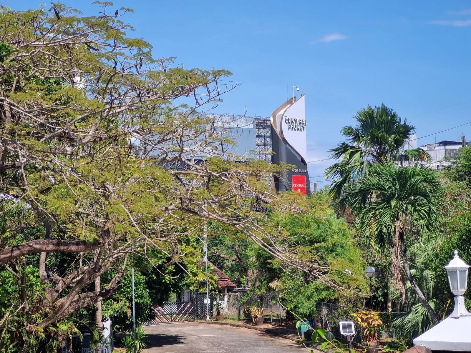Spacious 4-Bedroom Modern Home with Garden for Rent Near Kajonkiet School, Kathu — Thumbnail 14