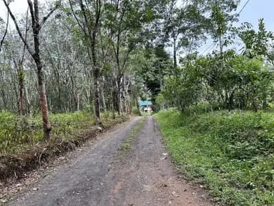 Land for Sale 44 rai in Tai Muang, Phang Nga