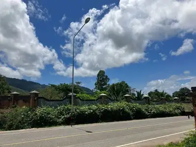 Land For Sale near Robinson Shopping Mall Thalang