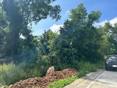 Prime location Land for Sale in Thalang