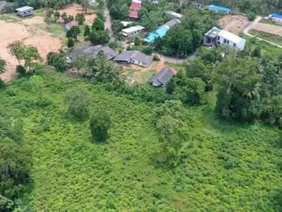 Land 7 Rai For Sale, Mai Khao, Phuket