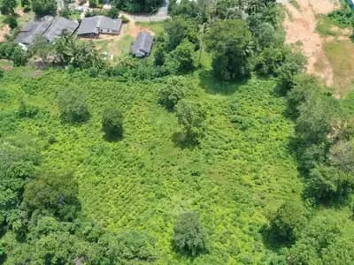Land 7 Rai For Sale, Mai Khao, Phuket