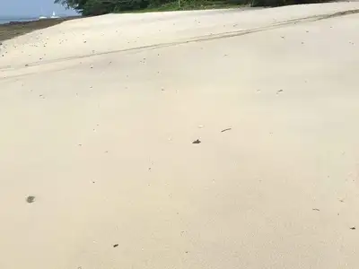 Land 84 Rai Next To Sandy Beach For Sale At Naka Yai Island Phuket