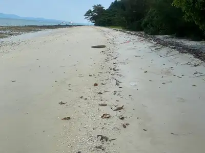 Land 84 Rai Next To Sandy Beach For Sale At Naka Yai Island Phuket
