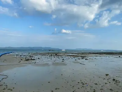 Land 94 Rai Next to Sandy Beach For Sale At Naka Yai Island Phuket