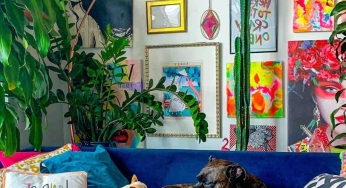 Why are lofts so popular?