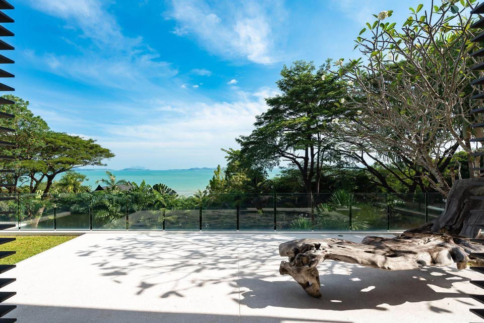 581384296_10163427231187378_7752571765319793639_n